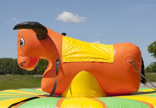 Trekrodeo stier Herman